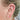 ornament-helix-mane.jpg