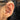 ornament-conch-piercingsmycke-topp.jpg
