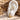 ornament-lobepiercing-rafflad-clicker-ring-18k-pvd-guld-kirurgiskt-stal