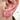 ornament-orsnibb-hal-i-orat-piercing.jpg