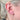 ornament-piercing-piercingsmycke-conch-forward-helix-snibb-guld.jpg