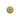 ornament-piercing-topp-smycke-guld-kristall-stjarna-conch-rund.jpg