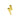 ornament-piercingsmycke-topp-guld-blixt.jpg