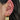 öra med piercingsmycken i vertikal helix, tragus och conch.